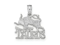 FJC Finejewelers 14 kt White Gold WG TAURUS Zodiac Charm 15 x 13 mm