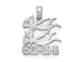 FJC Finejewelers 14 kt White Gold WG GEMINI Zodiac Charm 18 x 13 mm