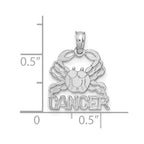 FJC Finejewelers 14 kt White Gold WG CANCER Zodiac Charm 17 x 13 mm