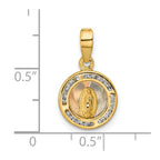 FJC Finejewelers 14 kt Yellow Gold Bright Cut Rose and White Rhodium CZ Mary Round Charm 20 x 11 mm