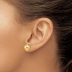FJC Finejewelers 14 kt Yellow Gold Polished Bright Cut 10mm Button Post Earrings 9 mm x 9 mm