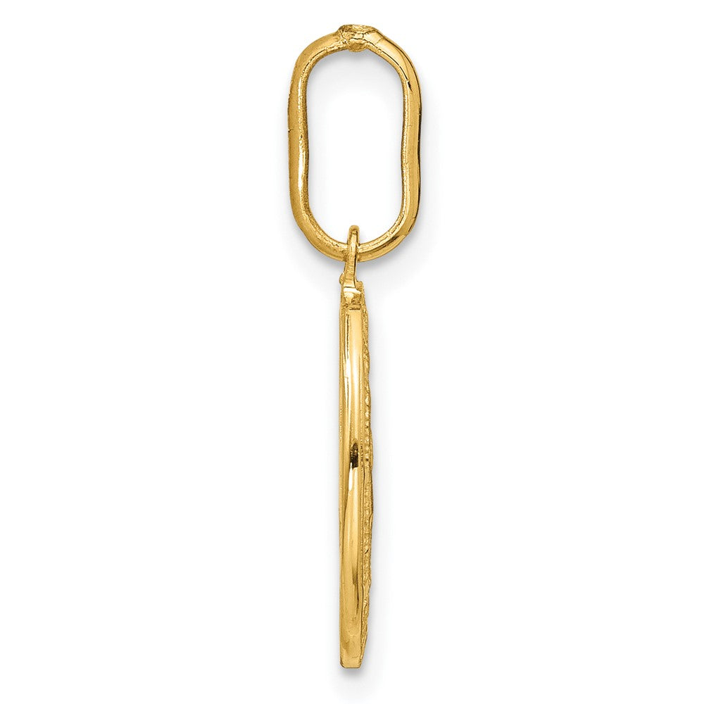 FJC Finejewelers 14 kt Yellow Gold Polished and Matte Oval Miraculous Medal