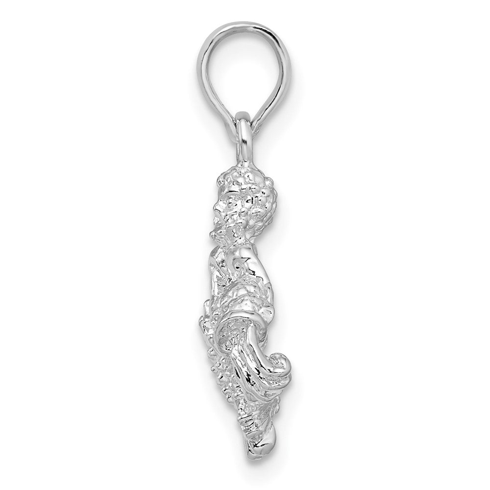 FJC Finejewelers 925 Sterling Silver Rhodium Plated Polished 3D Aquarius Zodiac Charm