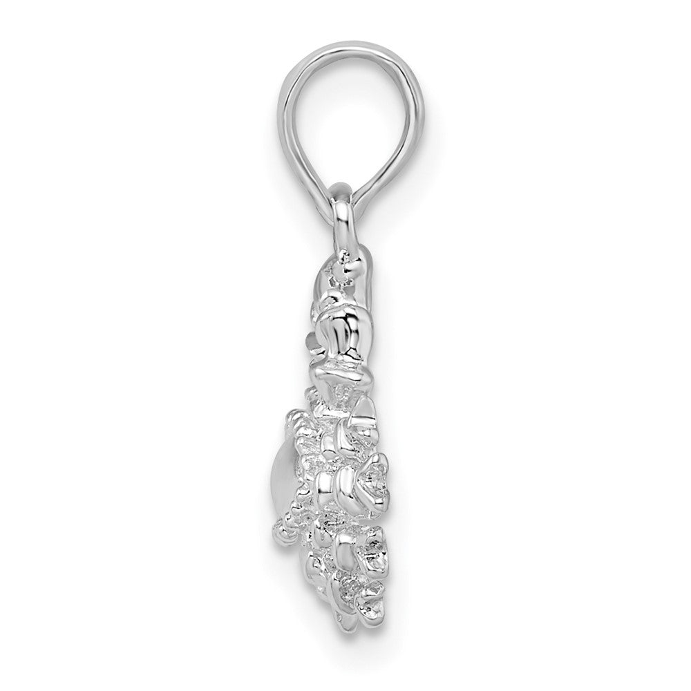 FJC Finejewelers 925 Sterling Silver Rhodium Plated Polished 3D Cancer Zodiac Charm