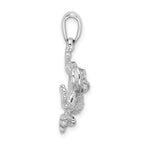 FJC Finejewelers 925 Sterling Silver Polished/Texture Frog Hanging by Leg Charm 25 x 20 mm