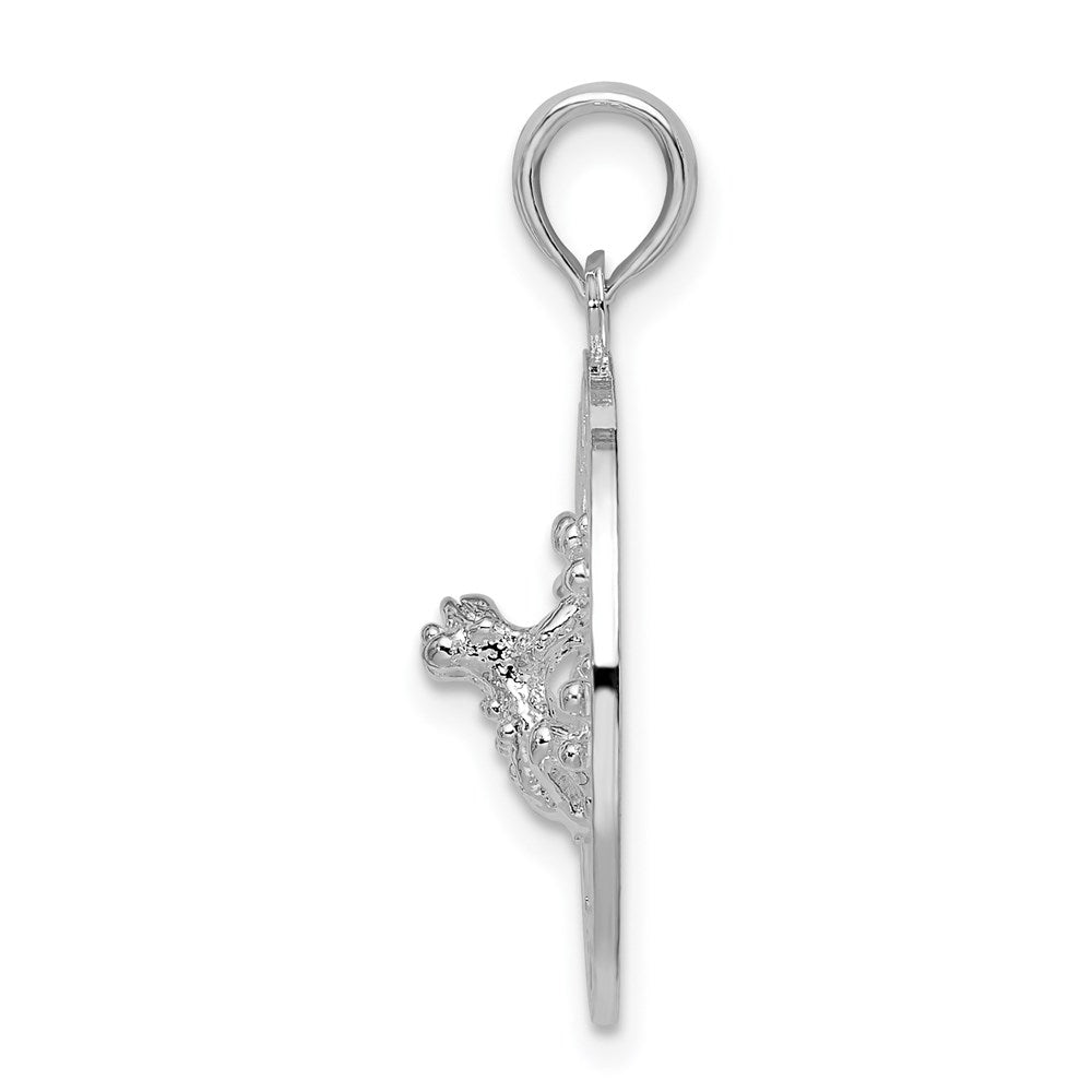 FJC Finejewelers 925 Sterling Silver Rhodium Plated Polished Puerto Rico Circle Frog Charm 25 x 18 mm