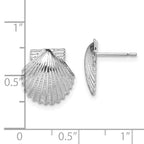 FJC Finejewelers 925 Sterling Silver Button Polished Scallop Shell Post Earrings 14 mm x 13 mm