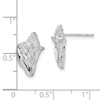 FJC Finejewelers 925 Sterling Silver Button Polished Conch Shell Post Earrings 16 mm x 11 mm