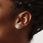 FJC Finejewelers 925 Sterling Silver Button Polished Rhodium Plated CZ Star Post Earrings 9 x 9 mm