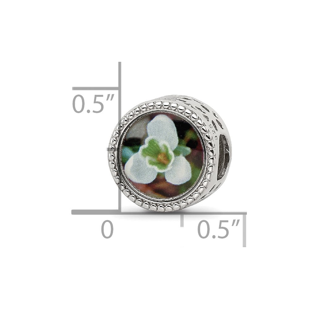 Reflections 925 Sterling Silver Rhodium Plated January Flower Bead 11 x 8 mm