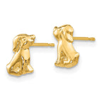 FJC Finejewelers 14 kt Yellow Gold Button Madi K Dog Post Earrings 8 x 5 mm