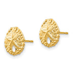 FJC Finejewelers 14 kt Yellow Gold Button Madi K Sand Dollar Post Earrings 10 x 10 mm
