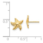 FJC Finejewelers 14 kt Yellow Gold Button Madi K Starfish Post Earrings 10 x 8 mm