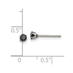 FJC Finejewelers Stainless Steel Polished Black Round CZ Stud Post Earrings 3 x 3 mm