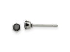 FJC Finejewelers Stainless Steel Polished Black Round CZ Stud Post Earrings 3 x 3 mm