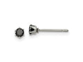 FJC Finejewelers Stainless Steel Polished Black Round CZ Stud Post Earrings 3 x 3 mm