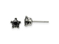FJC Finejewelers Stainless Steel Polished Black Star CZ Stud Post Earrings 6 x 6 mm
