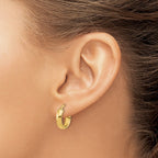 FJC Finejewelers 14 kt Yellow Gold Polished 3.7mm Hoop Earrings