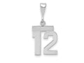 FJC Finejewelers 14 kt White Gold Small Polished Number 12 Charm