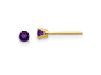 FJC Finejewelers 14 kt Yellow Gold Stud February/Amethyst Post Earrings 3 x 3 mm