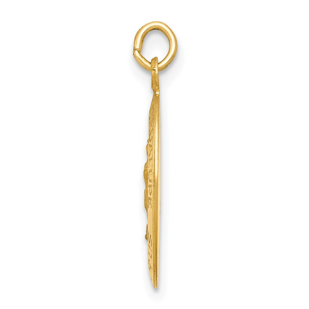 FJC Finejewelers 14 kt Yellow Gold Polished and Satin Our Lady of Guadalupe Medal Charm 19 x 11 mm
