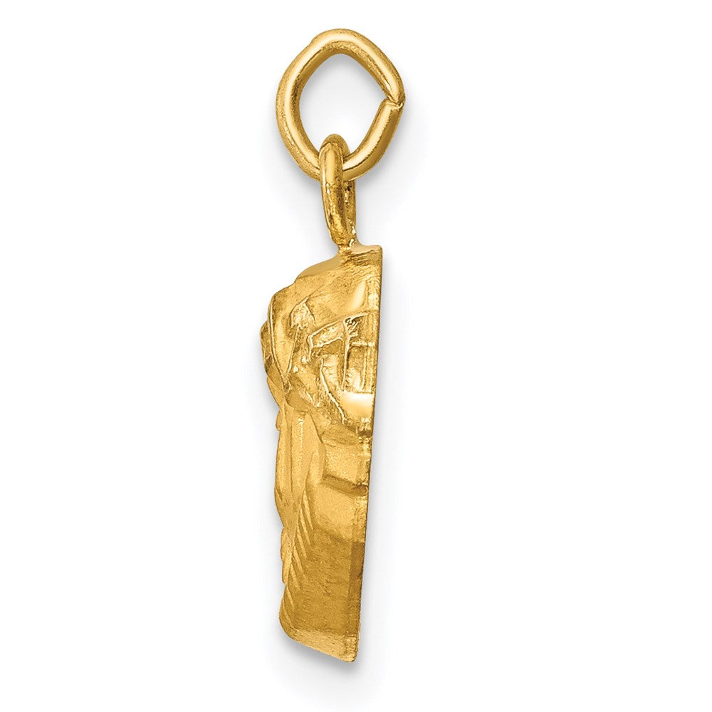 FJC Finejewelers 14 kt Yellow Gold Hollow Polished/Satin Small Jesus Medal