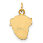FJC Finejewelers 14 kt Yellow Gold Hollow Polished/Satin Small Jesus Medal