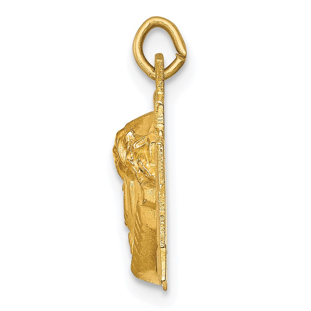 FJC Finejewelers 14 kt Yellow Gold Hollow Polished/Satin Small Jesus Cross Medal