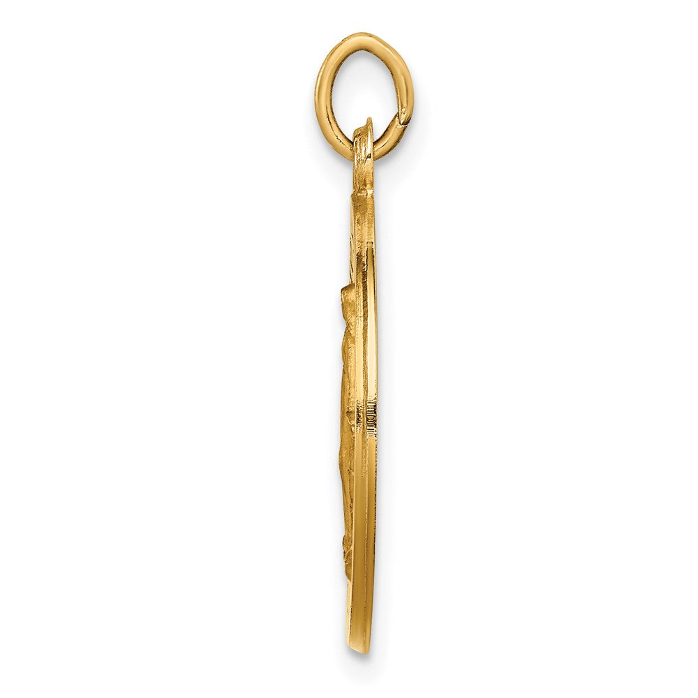 FJC Finejewelers 14 kt Yellow Gold Solid Polished/Satin Small Round Miraculous Medal 25 x 18 mm