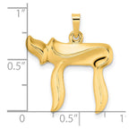 FJC Finejewelers 14 kt Yellow Gold Polished Hollow Chai Symbol Charm 24 x 22 mm
