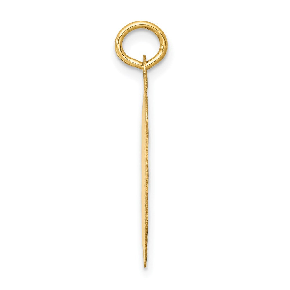 FJC Finejewelers 14 kt Yellow Gold First Holy Communion Disc Charm 26 x 20 mm