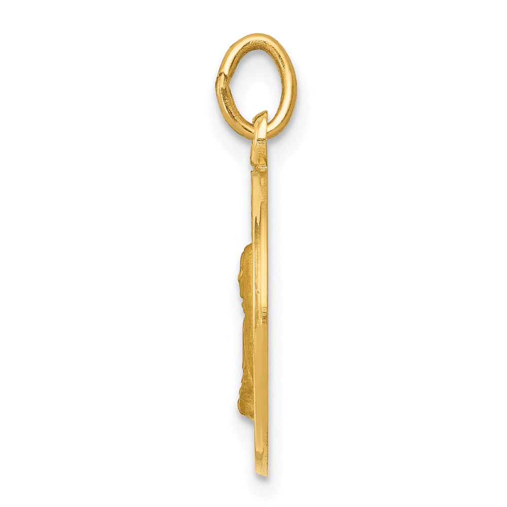 FJC Finejewelers 14 kt Yellow Gold Mother Cabrini Medal Charm 19 x 15 mm