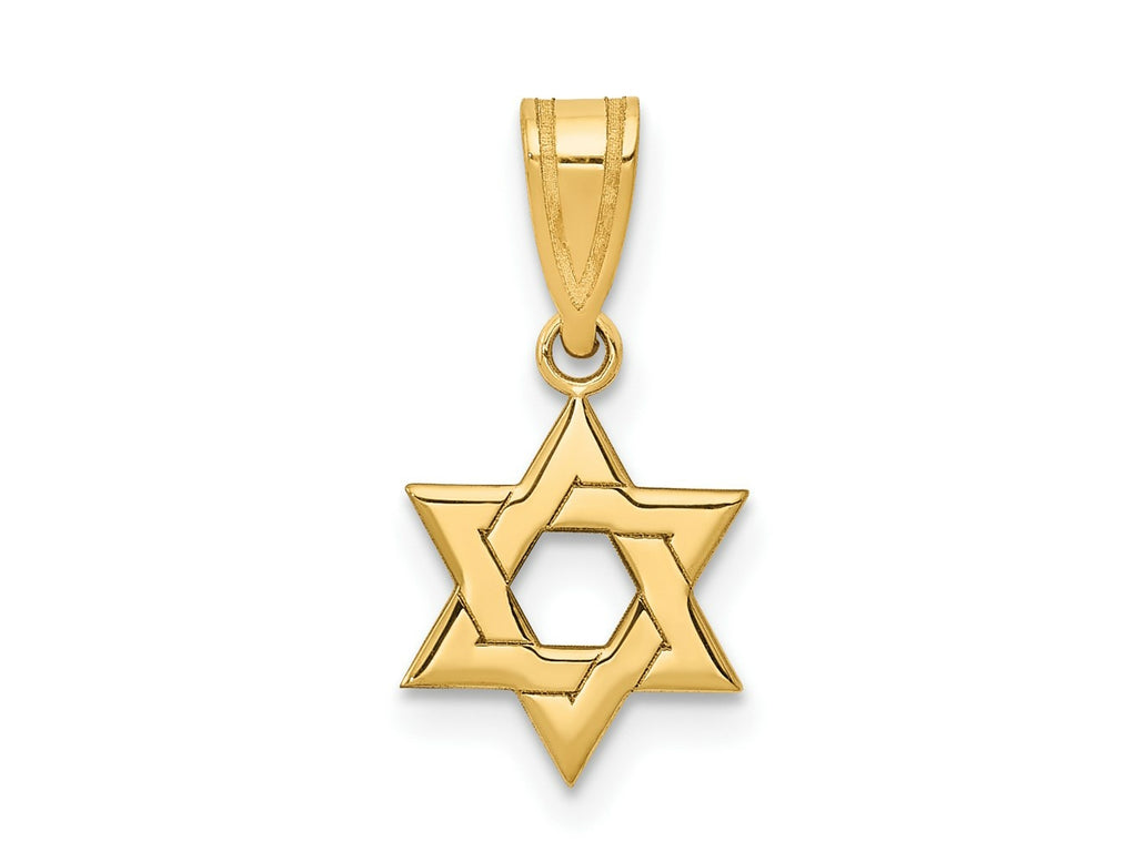 FJC Finejewelers 14 kt Yellow Gold Star of David Charm 17 x 10 mm
