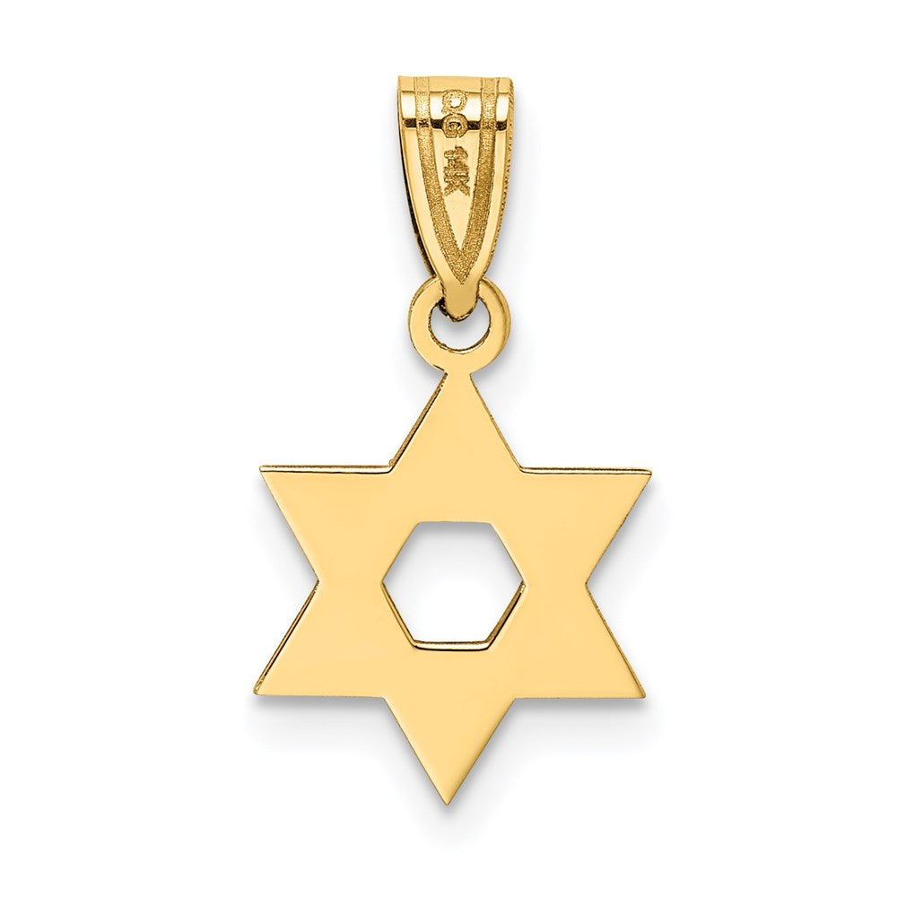 FJC Finejewelers 14 kt Yellow Gold Star of David Charm 18 x 11 mm