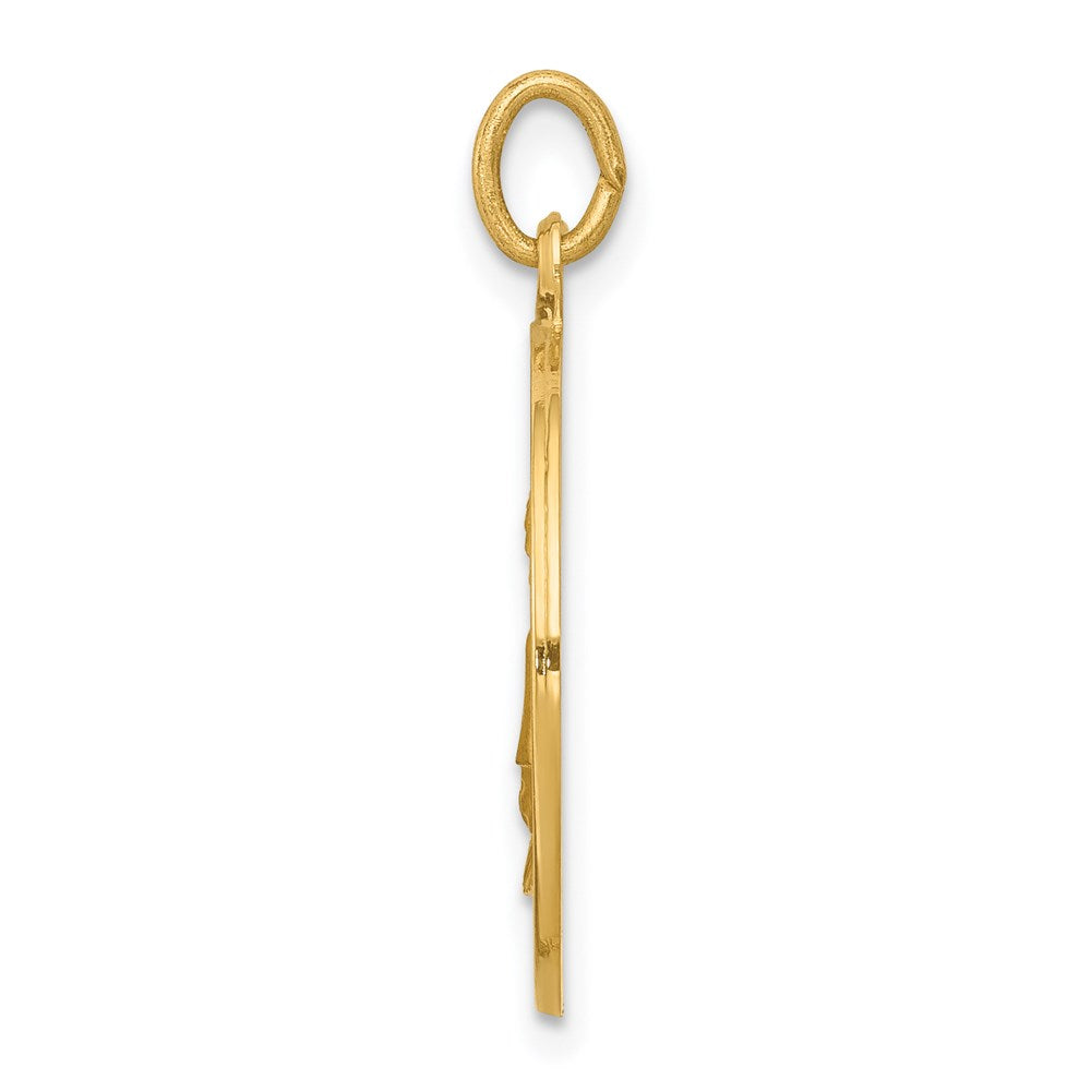 FJC Finejewelers 14 kt Yellow Gold Saint Elizabeth Seton Medal Charm 26 x 19 mm