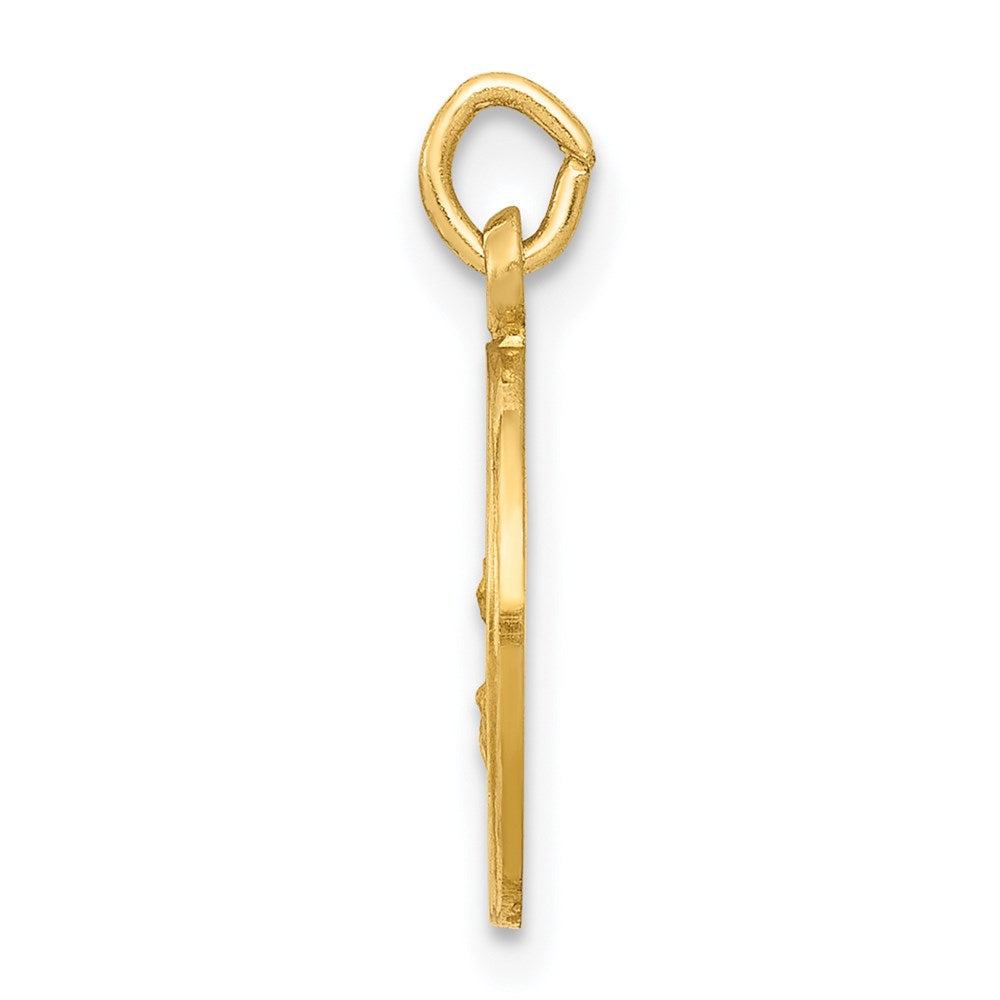 FJC Finejewelers 14 kt Yellow Gold Our Lady Of The Assumption Medal Charm 17 x 12 mm