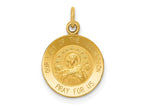 FJC Finejewelers 14 kt Yellow Gold Our Lady Of The Assumption Medal Charm 17 x 12 mm