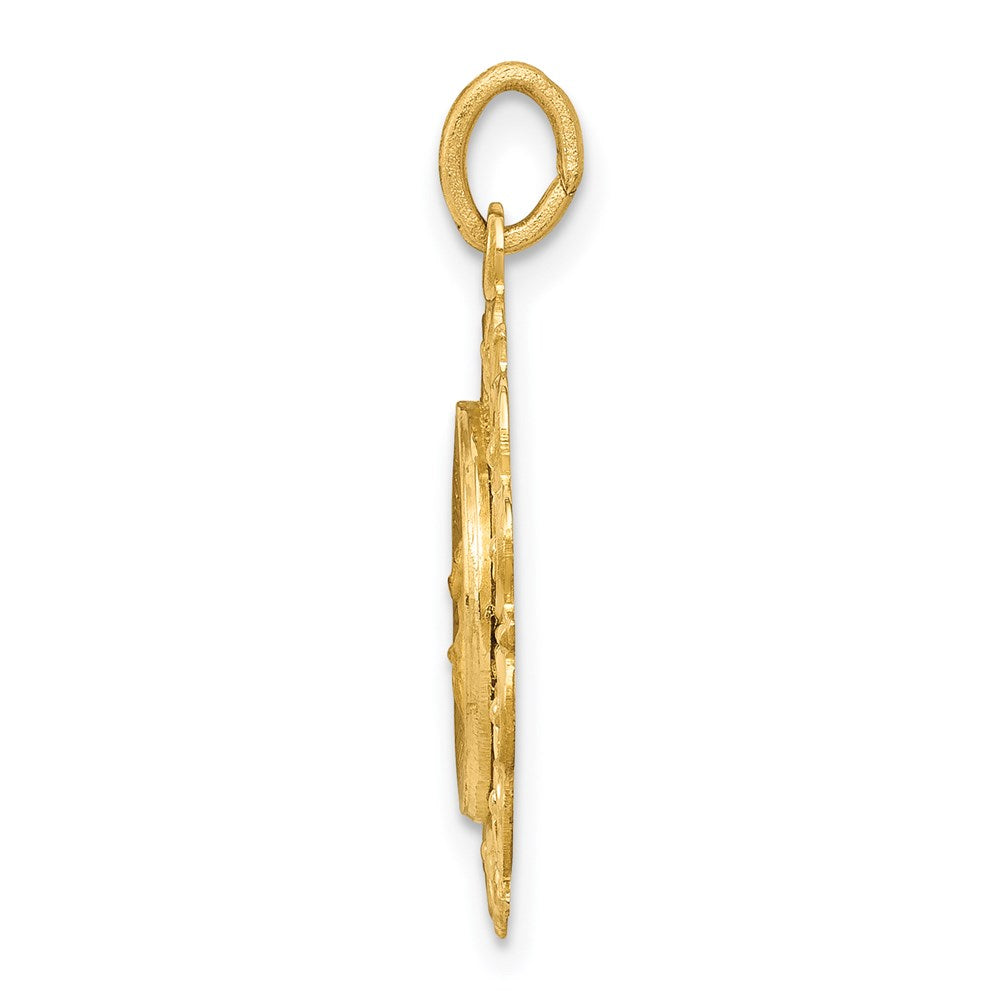 FJC Finejewelers 14 kt Yellow Gold Our Lady Of The Assumption Medal Charm 23 x 19 mm