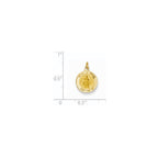FJC Finejewelers 14 kt Yellow Gold Infant of Prague Medal Charm 16 x 12 mm