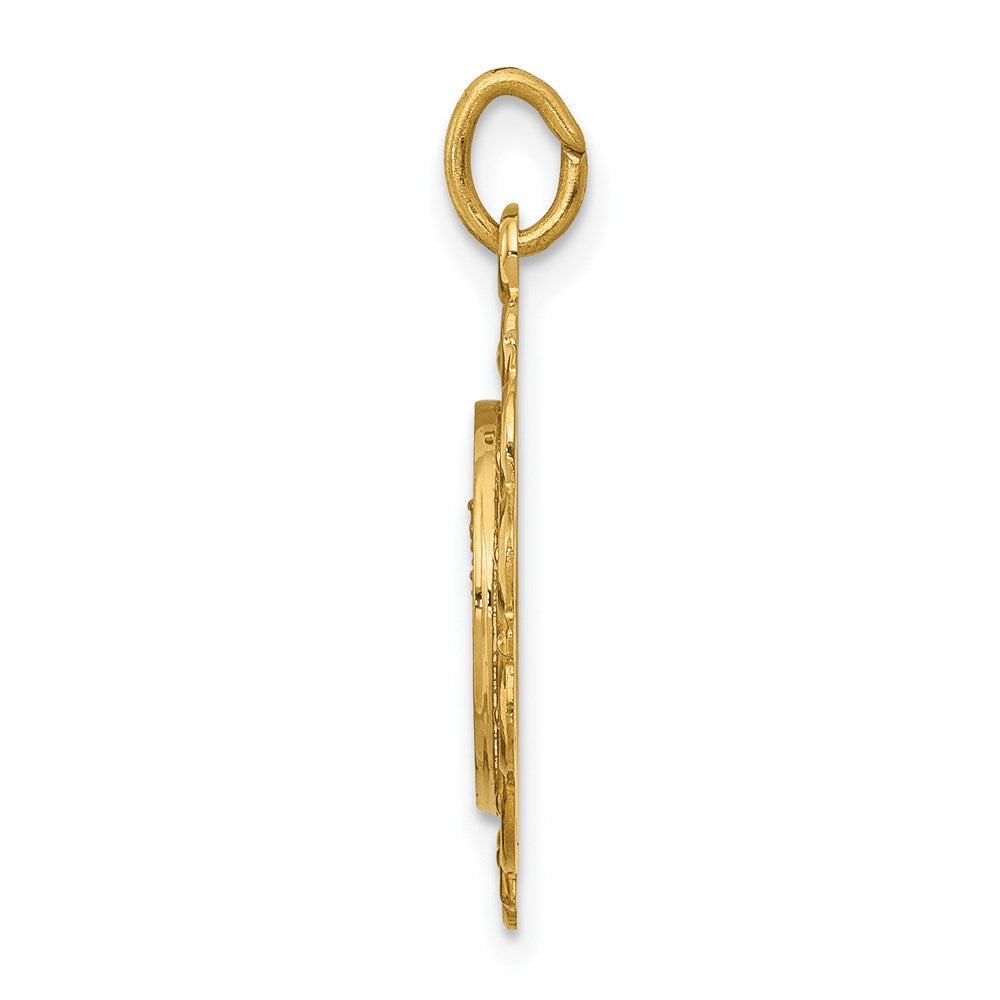 FJC Finejewelers 14 kt Yellow Gold Our Lady of Mt. Carmel Medal Charm 24 x 19 mm