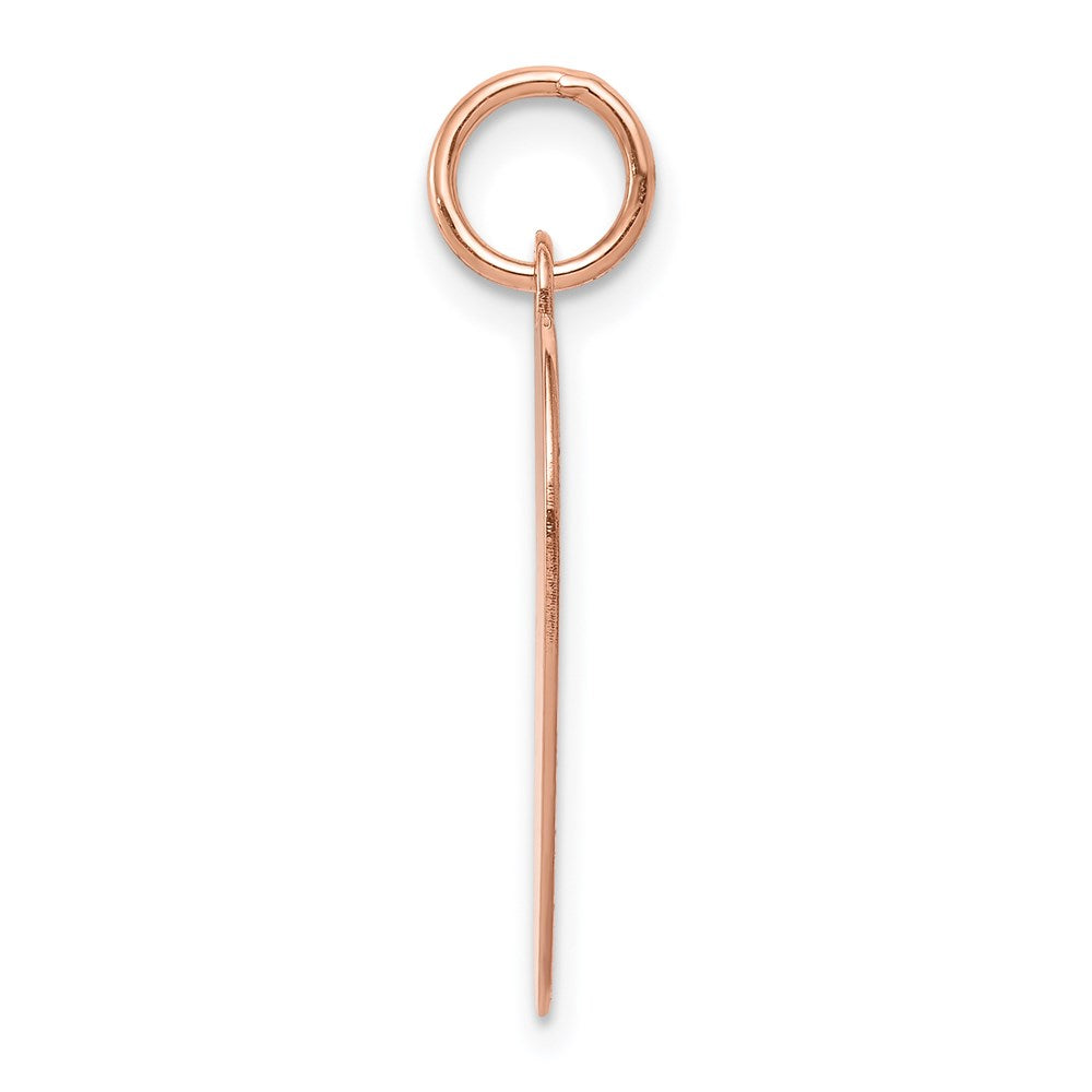 FJC Finejewelers 14 kt Rose Gold Plain .018 Gauge Engraveable Heart Disc Charm 24 mm x 20 mm