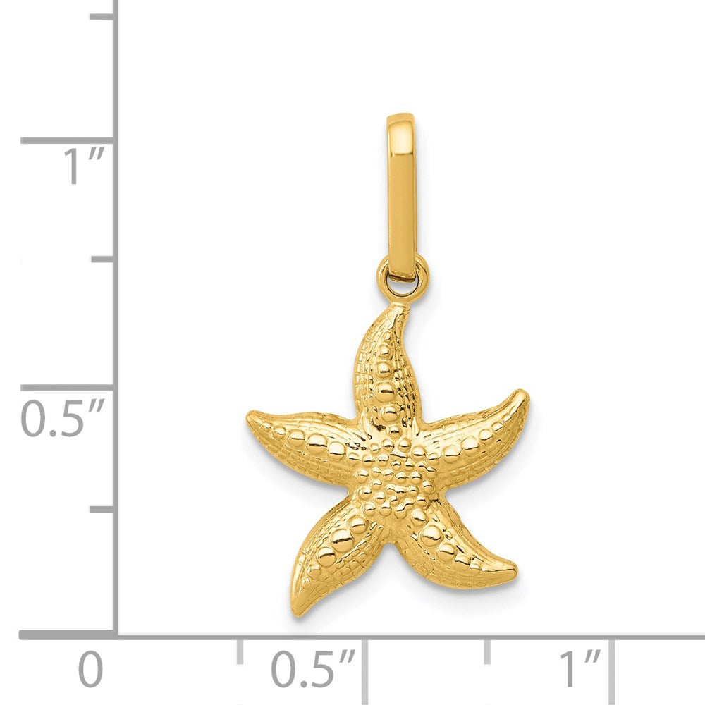 FJC Finejewelers 14 kt Yellow Gold Textured Hollow Starfish Charm 20 x 14 mm