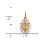 FJC Finejewelers 14 kt Two Tone Gold Our Lady of Guadalupe CZ Charm 17 x 8 mm