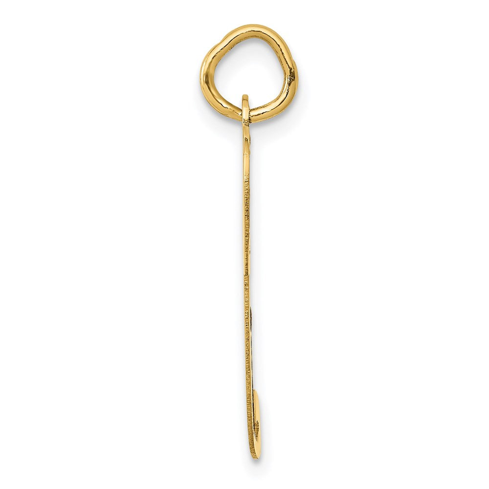 FJC Finejewelers 14 kt Yellow Gold Large Fancy Script Letter P Initial Charm