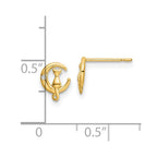 FJC Finejewelers 14 kt Yellow Gold Button CZ Cat on the Moon Post Earrings 7 x 5 mm