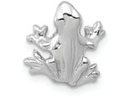 FJC Finejewelers 14k White Gold Solid Polished 3d Frog Charm
