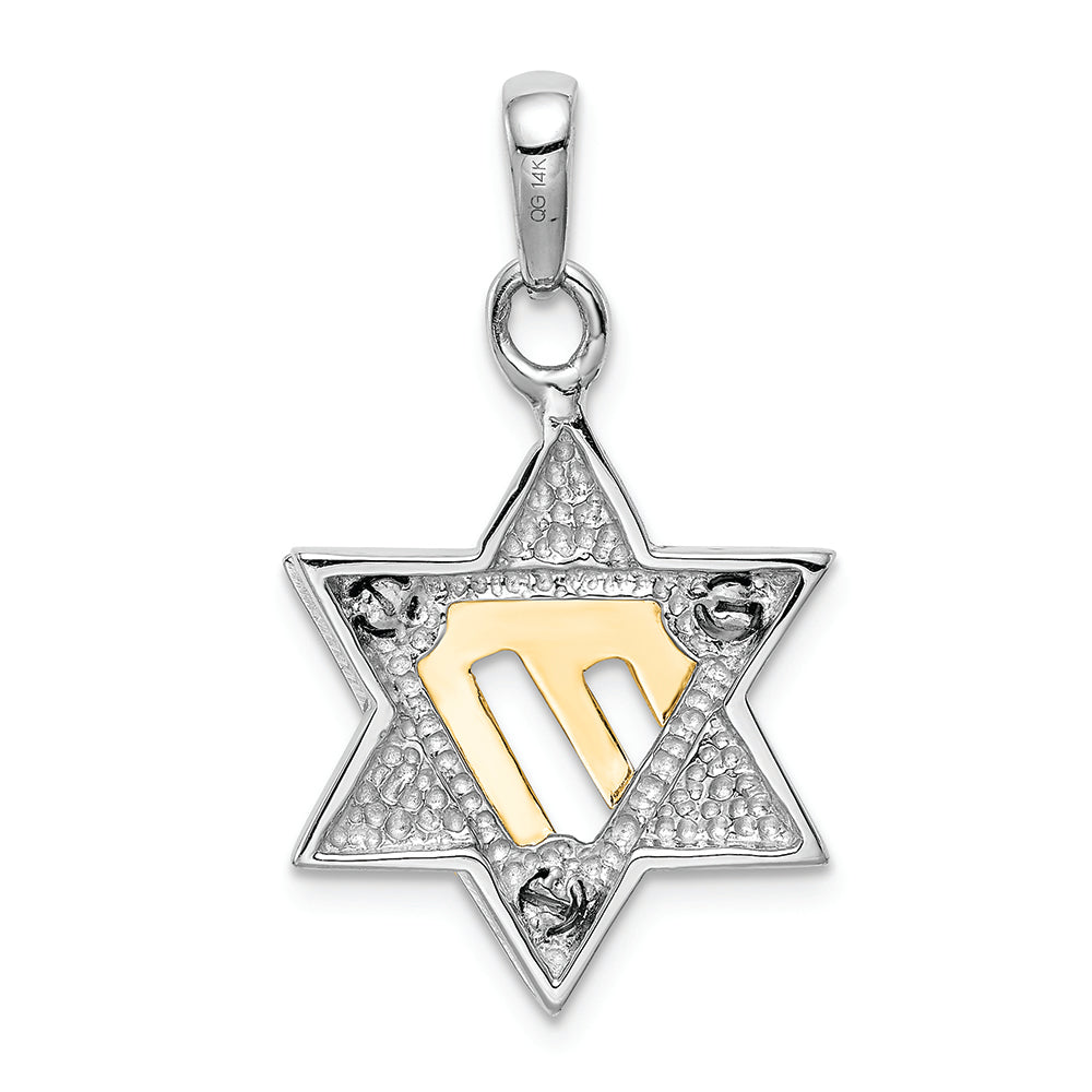 FJC Finejewelers 14k Two-tone Gold Star Of David Charm