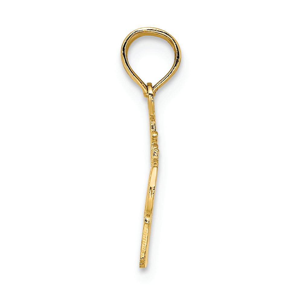FJC Finejewelers 14k Yellow Gold #1 Daughter-in-law Charm