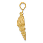FJC Finejewelers 14k Yellow Gold Conch Shell Charm