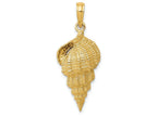 FJC Finejewelers 14k Yellow Gold Conch Shell Charm